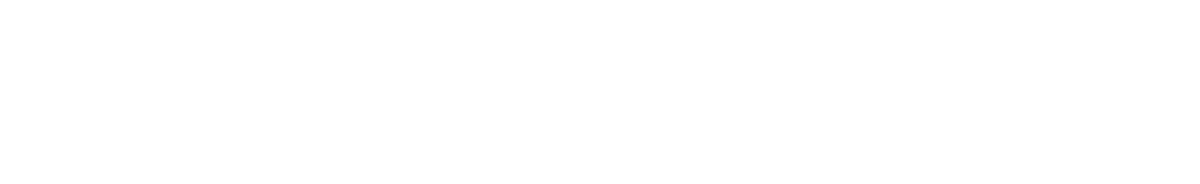 SHAWNP.AI